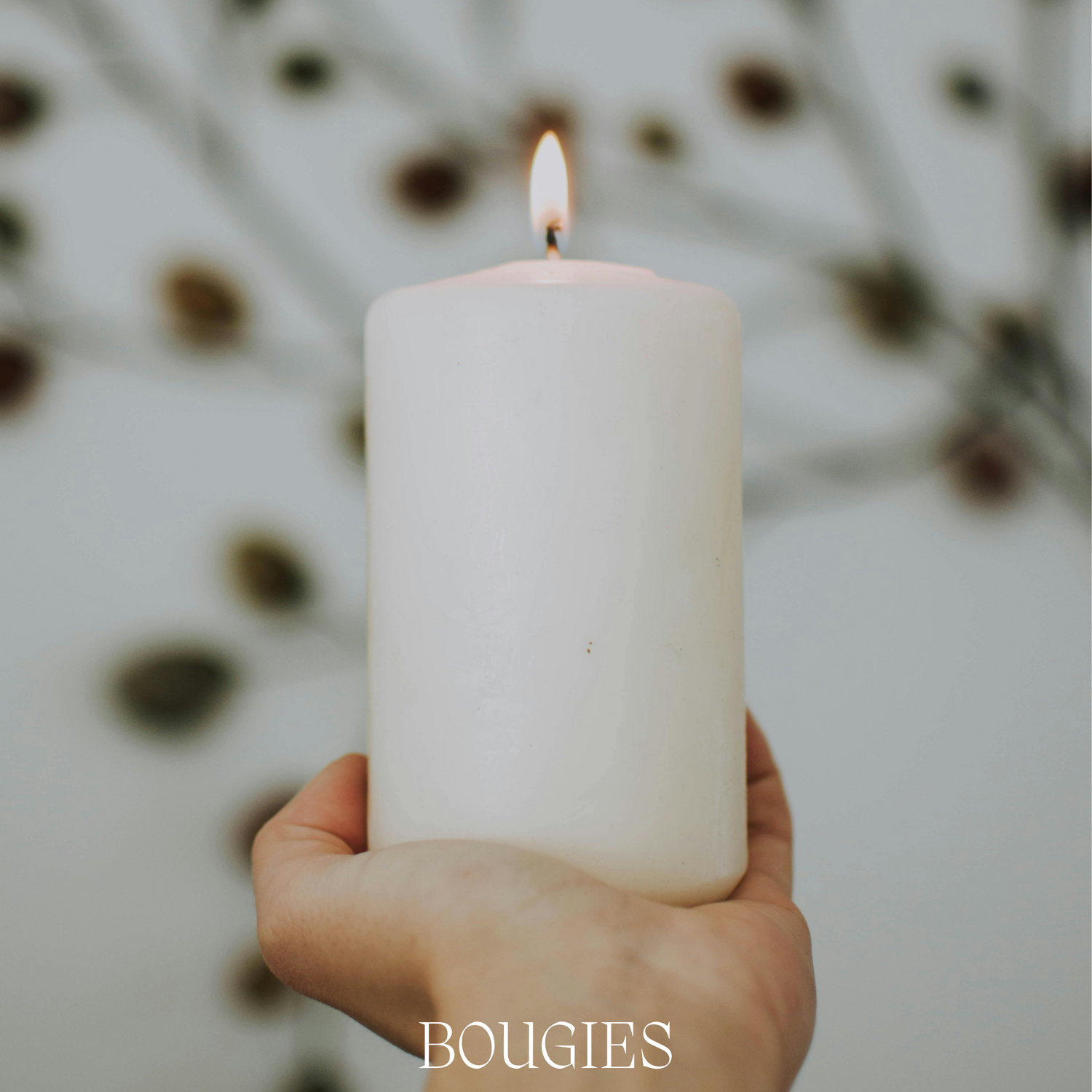 Bougies